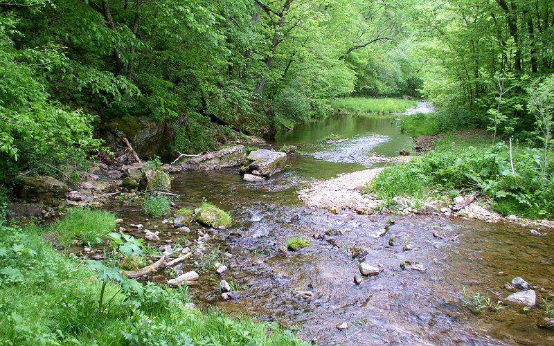 BeaverCreekValleyStatePark1