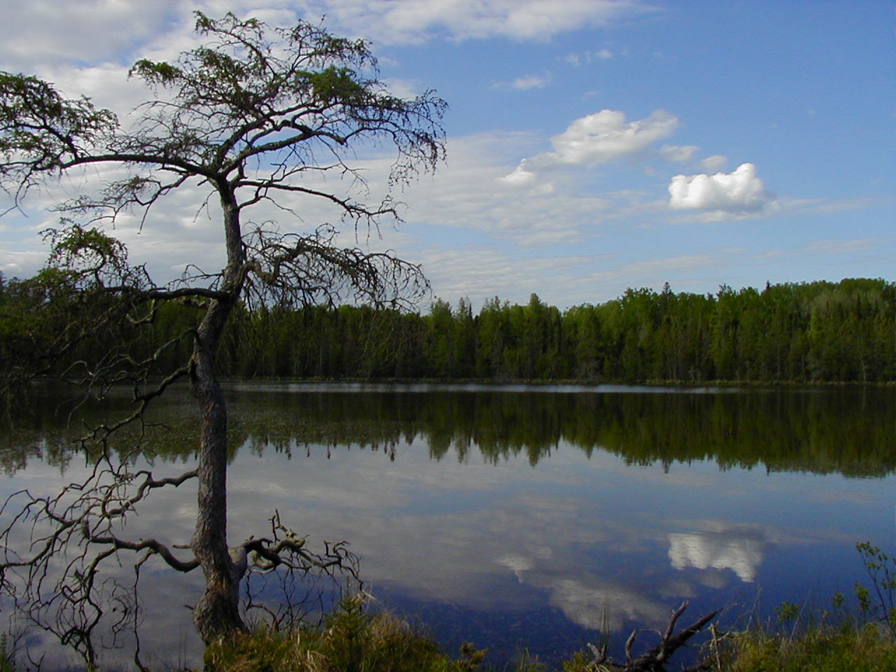 BemidjiStatePark-HiddenLake