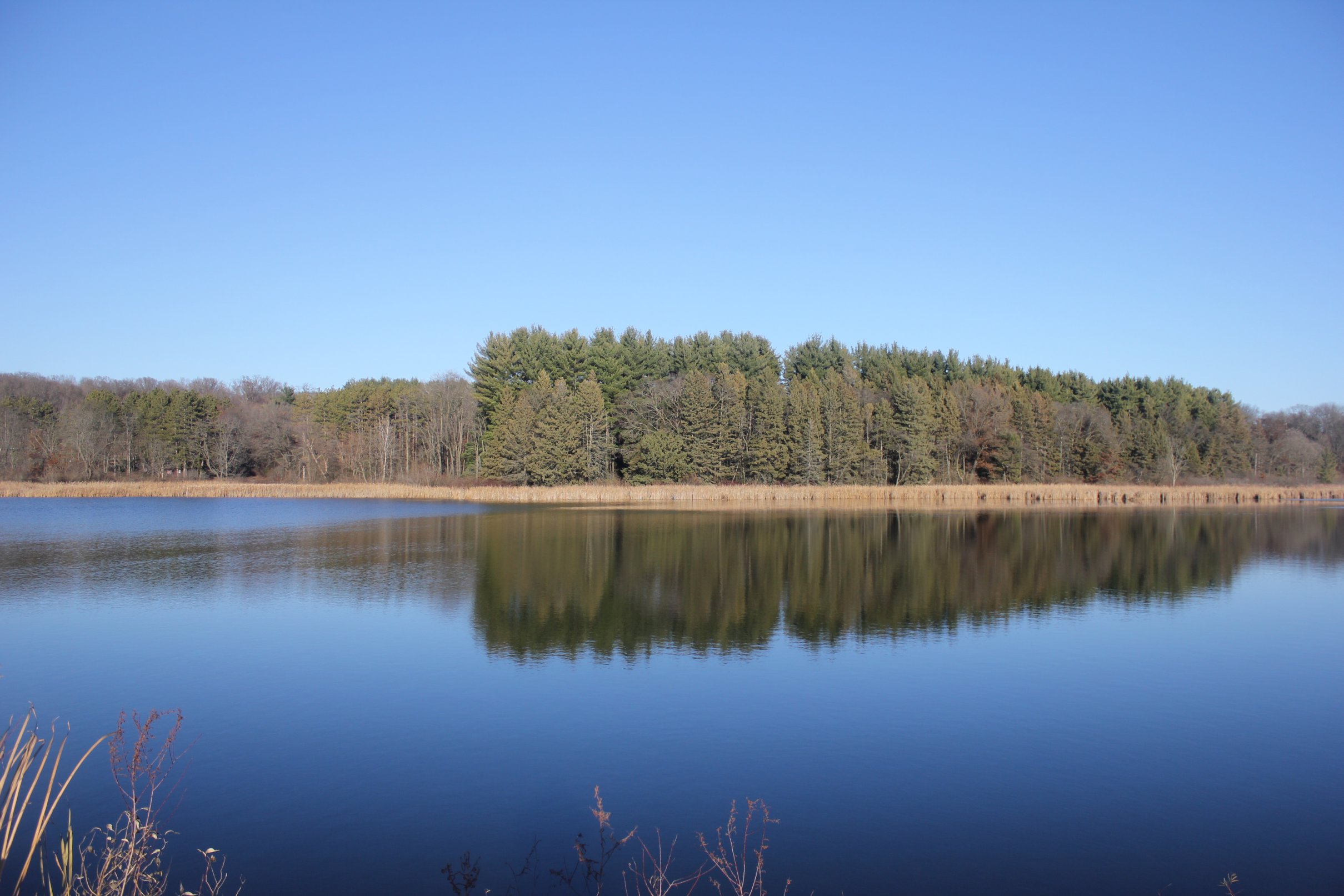 Cadizsprings