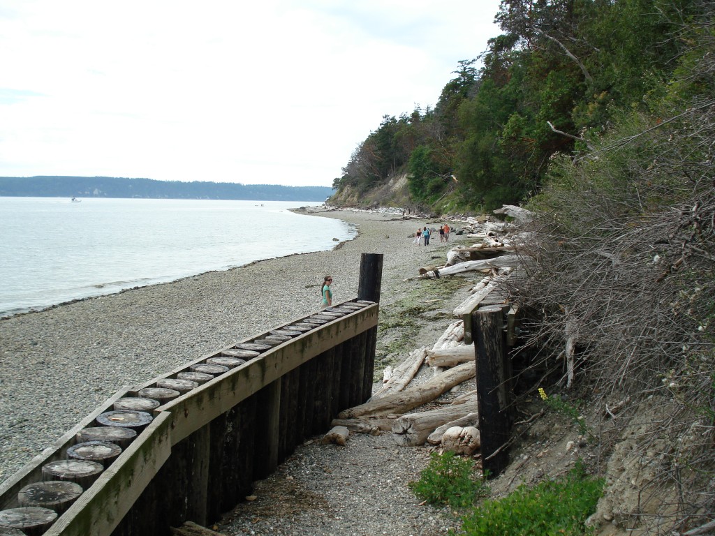 Camano_Island_beach_01