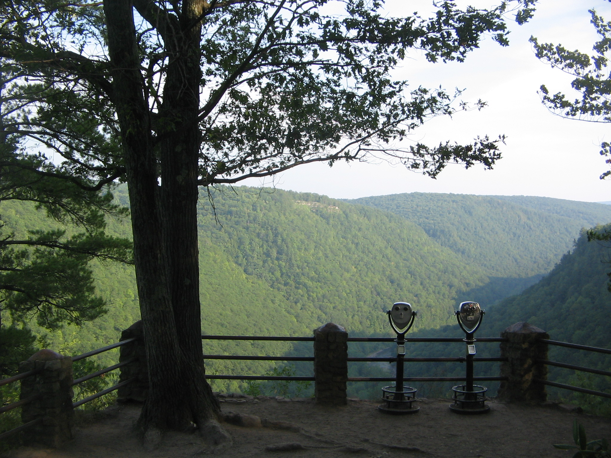 Colton_Point_State_Park_overlook_1