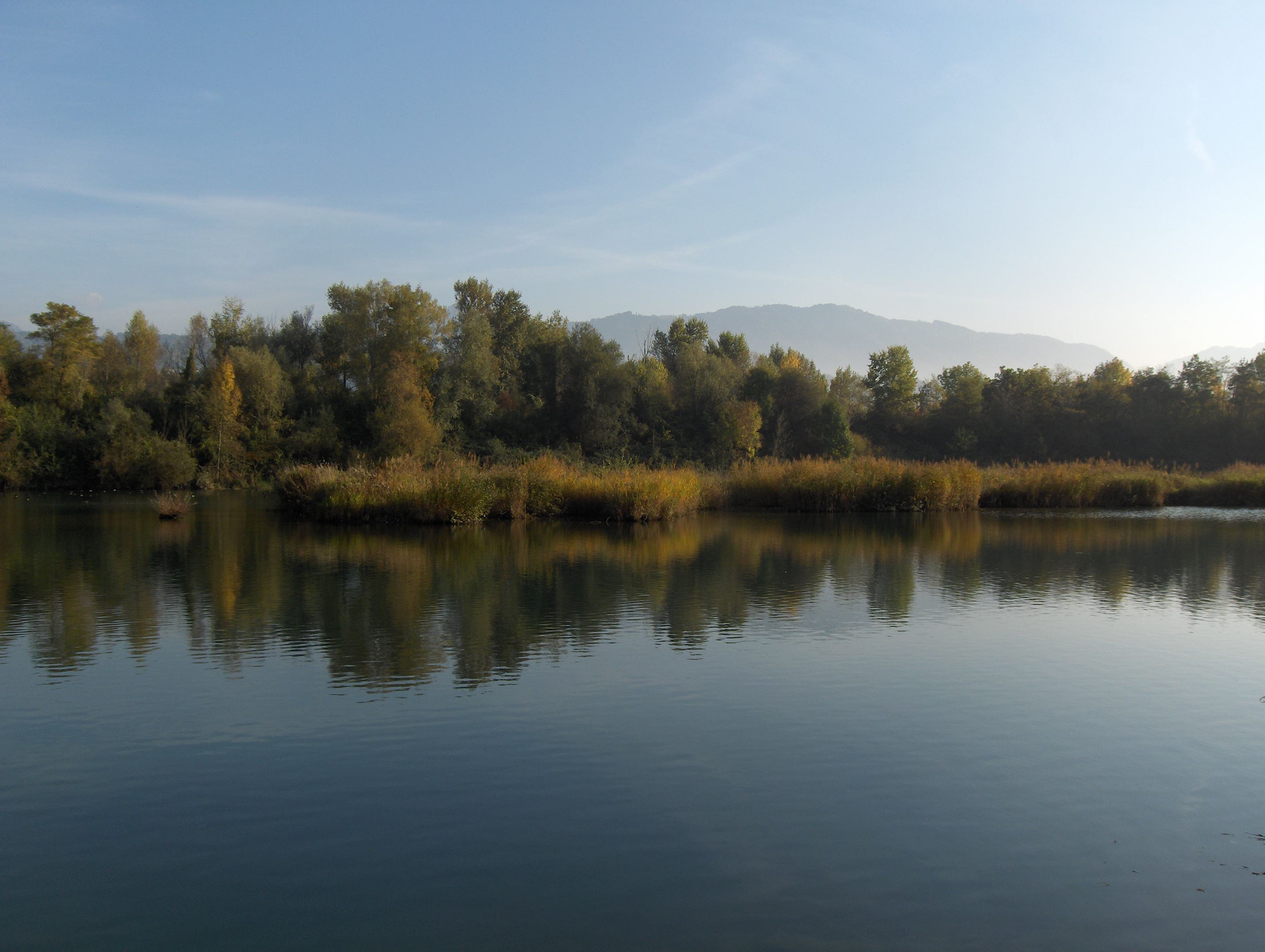 Dranse_-_reserve_naturelle