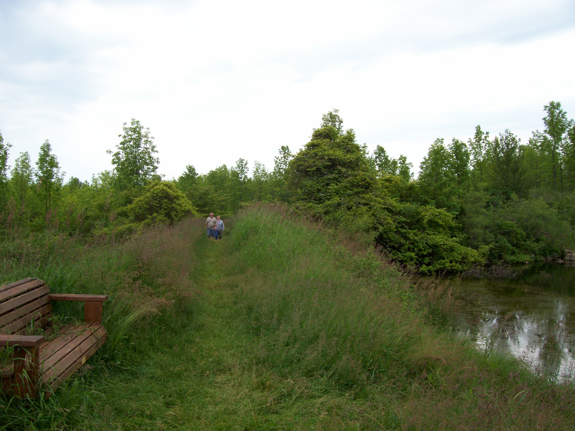 HarringtonBeachStateParkTrail