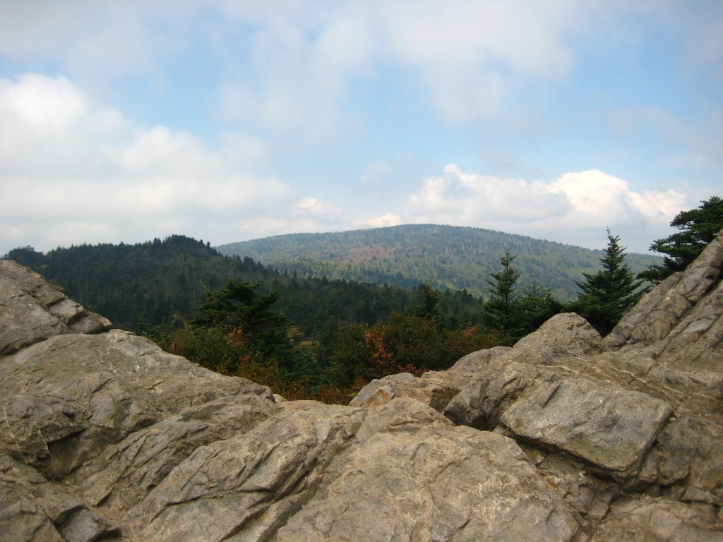 Mount_Rogers_National_Recreation_Area