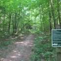 Questing_New_Marlborough_MA