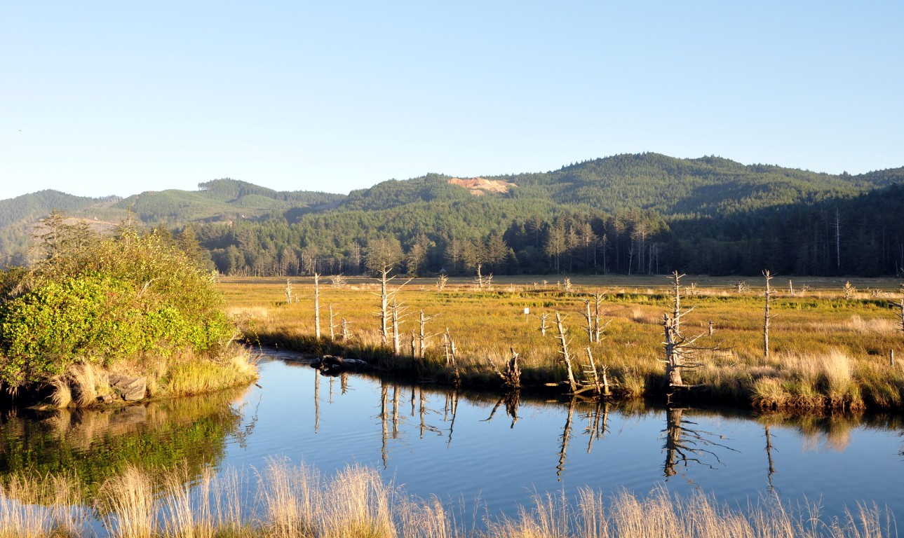 Siletz_nwr