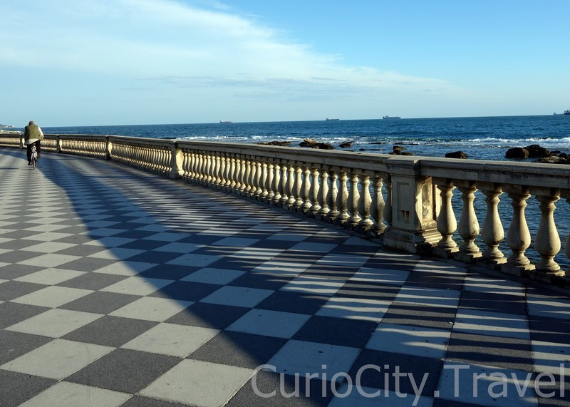 32142_27024_livorno-2
